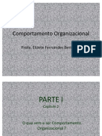 Comportamento Organizacional - Capítulo 2