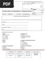 2 FT SST 047 Formato Encuesta Perfil Sociodemografico