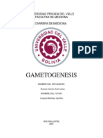 Monografía Gametogénesis