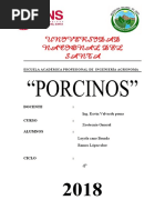 Informe de Cerdos - Zootecnia