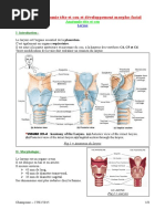 Spé 12 - 03a - Larynx