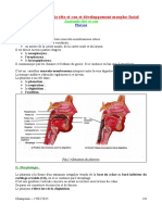 Spé 12 - 03b - Pharynx