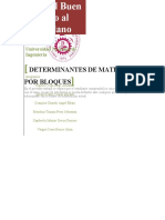 Determinantes de Matrices Por Bloques-1