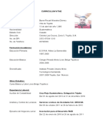 Curriculum Vitae