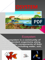 Eco System 1