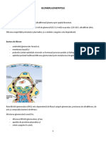 R1. Glomerulonefrite Acute Si Cronice 2017