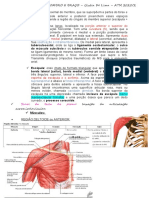 Membro Superior Ombro e Braço