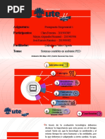 Sistema Contable en Ambiente PED