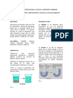 BIOLOGIA CELULAR Osmosis