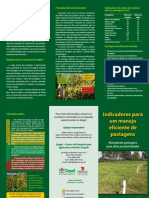 Indicadores Pra Um Manejo Eficiente de Pastagens