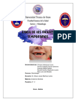 Caída de Los Dientes Temporarios