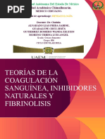 Expo Hemato Teorias de La Coagulación Sanguinea