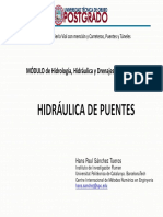 11-Hidraulica de Puentes