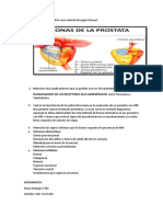 Haga Un Gráfico de La Zona Intersticial Según Mcneal