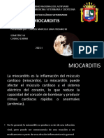 Miocarditis