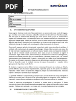 Formato Informe Psp. Estandarizado