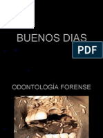 Odontologia Forense