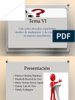 Causas de Las Litis Sobre Derechos Registrados Diapositiva