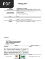 DETAILED LESSON PLAN Earth and Life Sciences Grade 11 Week 1