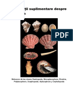 Informații Suplimentare Despre Molusca