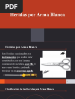 HERIDAS POR ARMA BLANCA. Primera Parte