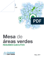 Resumen Ejecutivo Areas Verdes