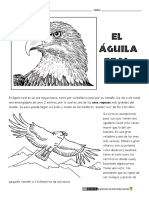 Águila Real