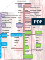 Cuadro Ciencias Forenses