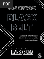 Guia Black Belt