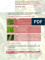 Ficha Técnica 1. La Fertilizacion Del Arroz