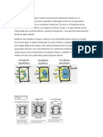 Isotonicas