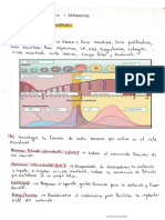 Guia de Utero y Ciclo Menstrual