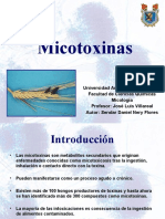 Micotoxinas