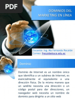 Dominios Del Marketing en Linea