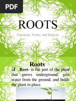 Roots: Functions, Forms, and Regions