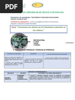 Sesion de Ciencia y Tecnología 17 de Agosto