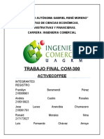 Trabajo Final Com300