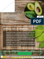 Planificación-Grupo 4 - Proyecto de Avocado