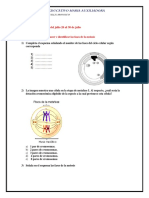 Actividad # 5 Meiosis