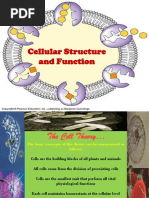 Kuliah 2 - Cell