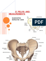 Female Pelvis and Measurements