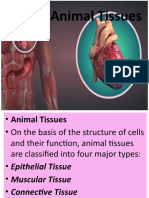 Grade Ix Biology Animal Tissues 2021