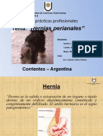 Hernia Perianal