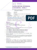 Ejes Temáticos Capacitación Virtual Intensiva Nivel 1 2021