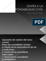 Límites A La Responsabilidad Civil