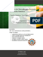 Proyecto de Invercion - Cancha Sintetica