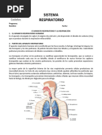 Sistema Respiratorio