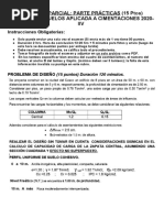 JUAN FERNANDO ARESTEGUI HUILLCA - 1er EXAMEN PARCIAL - PARTE PRACTICAS (15 Ptos) MECANICA DE SUELOS APLICADA A CIMENTACIONES 2020-IIV