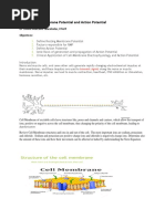 Chapter 5. Membrane Potential and Action Potential