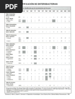 Identificación de Enterobacterias